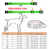 Waffy Rechargeable LED Dog Collar