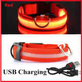 Waffy Rechargeable LED Dog Collar