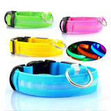 Waffy Rechargeable LED Dog Collar