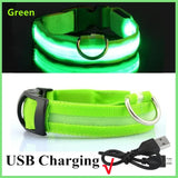 Waffy Rechargeable LED Dog Collar