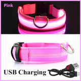 Waffy Rechargeable LED Dog Collar