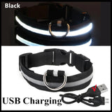 Waffy Rechargeable LED Dog Collar
