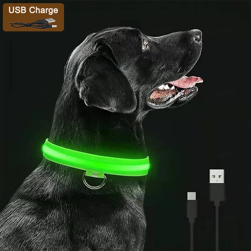 Waffy Rechargeable LED Dog Collar